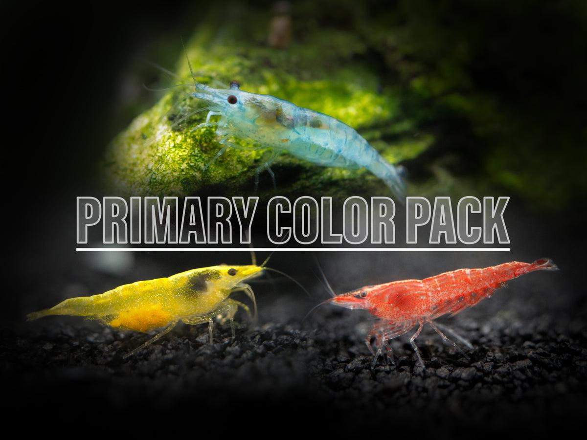 skittles shrimp (mixed neocaridina davidi) skittles shrimp (mixed neocaridina davidi)